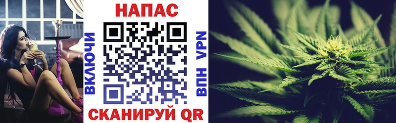 Каннабис Amnesia  Купить  Духовщина 